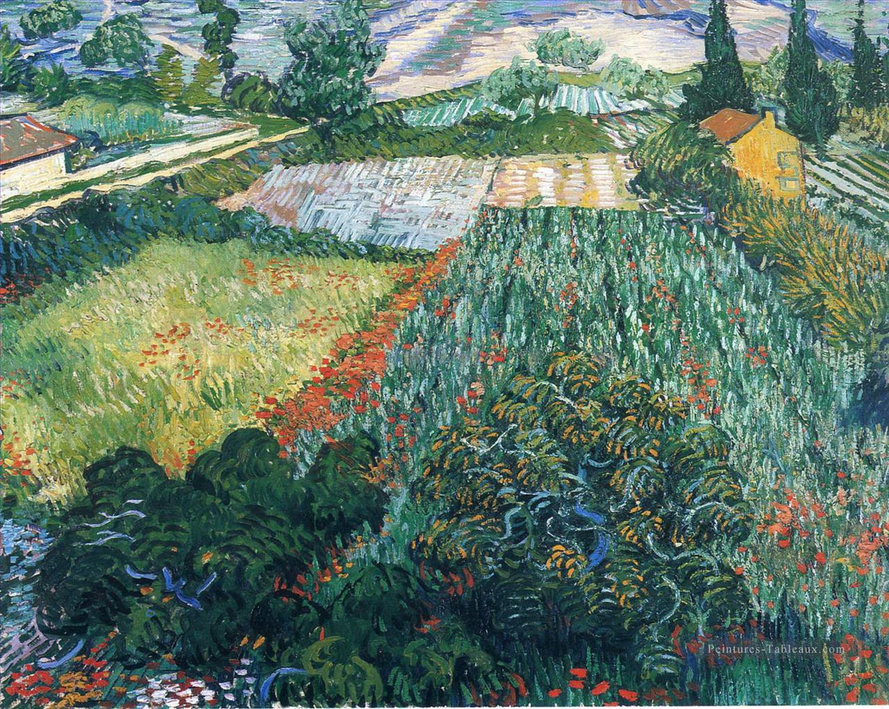 Champ avec des coquelicots 2 Vincent van Gogh paysage Peintures à l'huile